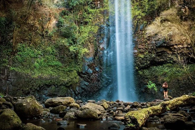 Kayak & Waterfall Hike with Lunch