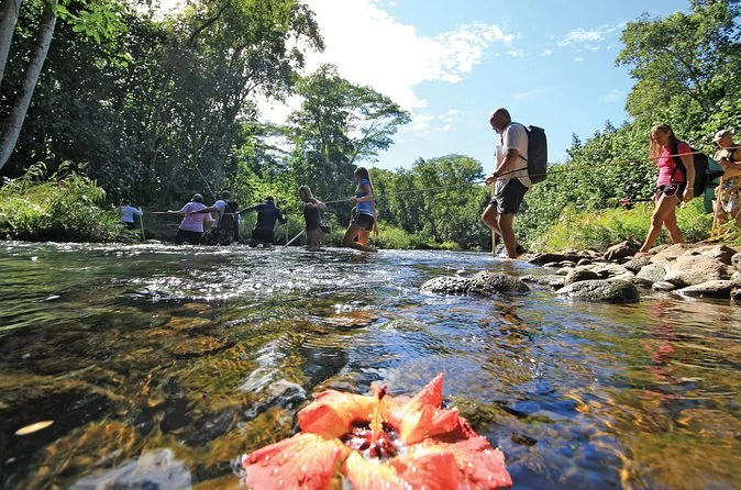 Hikers crossing a shallow rocky river on a guide rope, a red hibiscus flower in the foreground