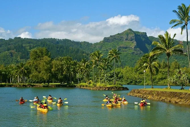 Groups of yellow tandem kayaks on a wide river below a green mountain, palms on the bank