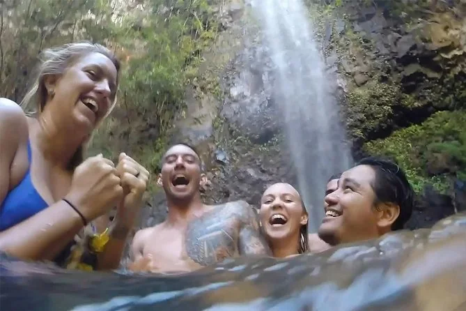 Four laughing swimmers in the pool beneath a waterfall