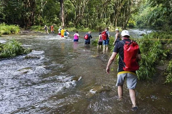 A line of hikers wading a shallow jungle river, one carrying a red dry bag