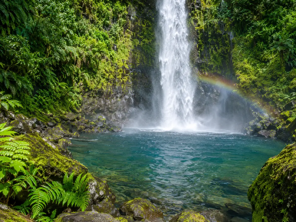 Pool at the base of a rainforest waterfall